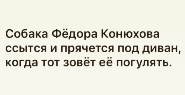 Собака Фёдора Конюхова ссытся и прячется под диван, когда тот зовёт её погулять.