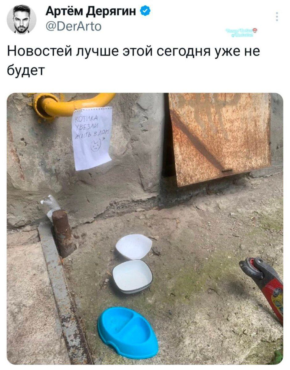 Новостей лучше этой сегодня уже не будет
Котика убили 2011-2022