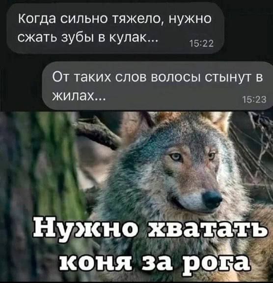 Когда сильно тяжело, нужно сжать зубы в кулак...
От таких слов волосы стынут в жилах...
Нужно хватать коня за рога