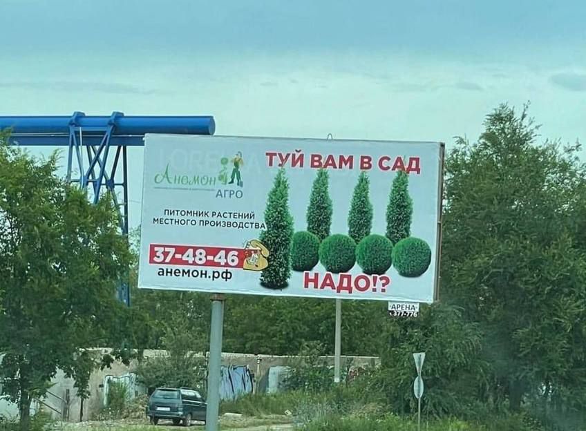 ТУЙ ВАМ В САД
НАДО!?
37-48-46
anemon.rf