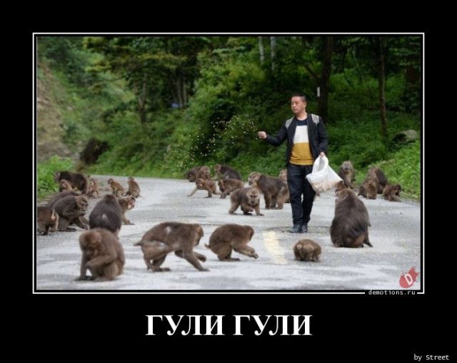 ГУЛИ ГУЛИ