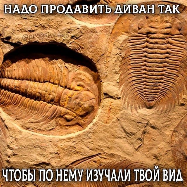 Надо продать диван так, чтобы по нему изучали твой вид.