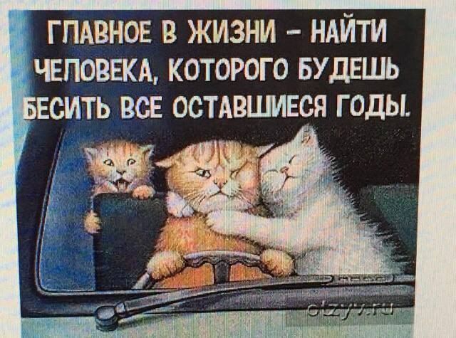Главное в жизни - найти человека, которого будешь бесить все оставшиеся годы.