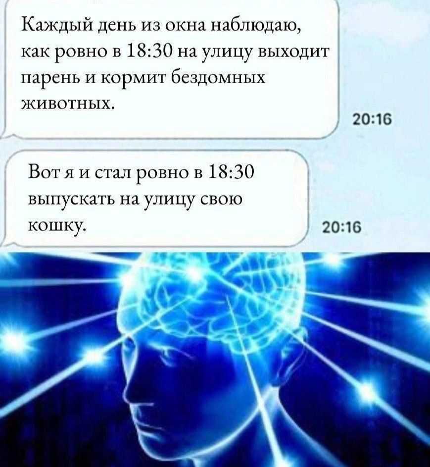 Каждый день из окна наблюдаю, как ровно в 18:30 на улицу выходит парень и кормит бездомных животных.
Вот я и стал ровно в 18:30 выпускать на улицу свою кошку.