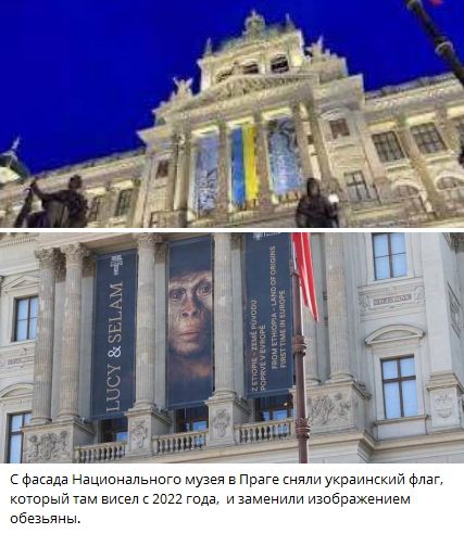 С фасада Национального музея в Праге сняли украинский флаг, который там висел с 2022 года, и заменили изображением обезьяны.