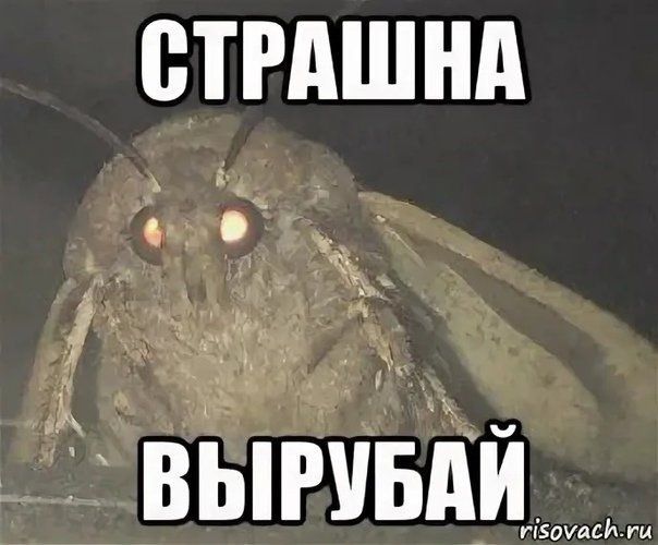 СТРАШНА ВЫРУБАЙ