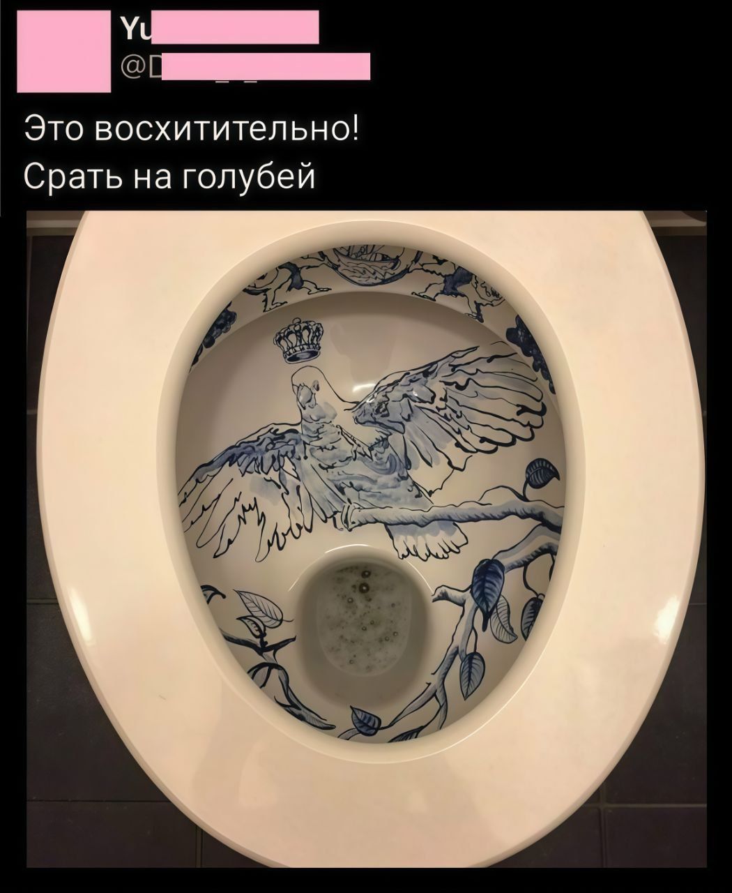 Это восхитительно! Срать на голубей