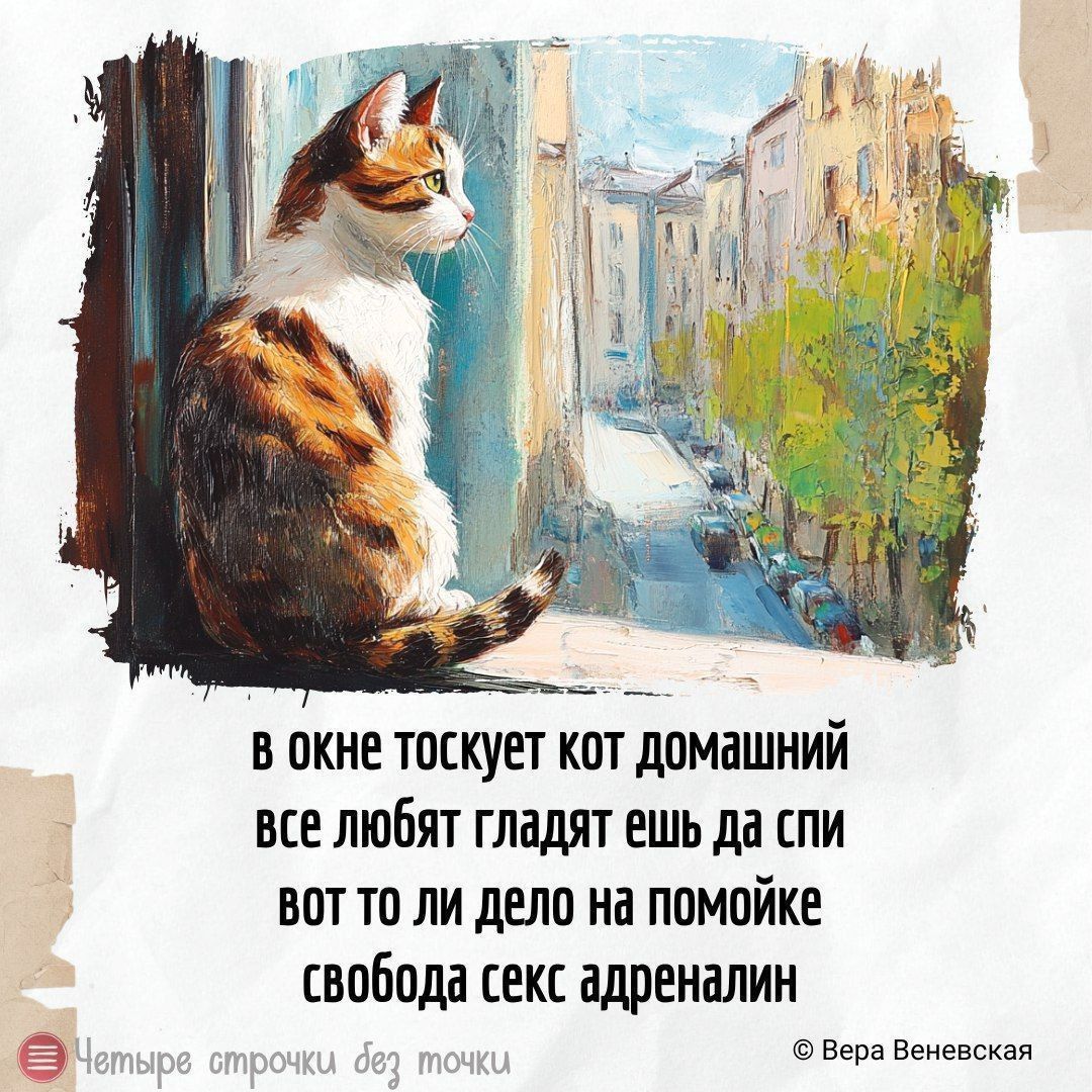 в окне тоскует кот домашний все любят глаздят ещь да спи вот то ли дело на помойке свобода секс адреналин
