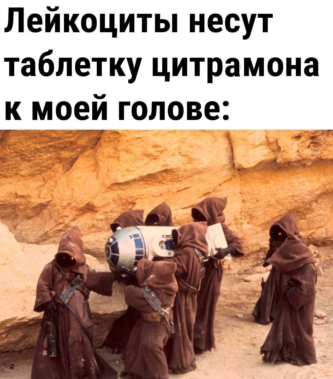 Лейкоциты несут таблетку цитрамона к моей голове: