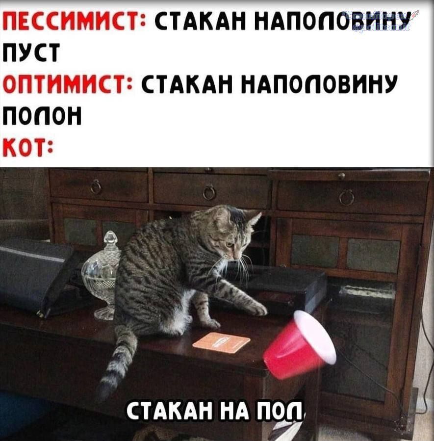 ПЕССИМИСТ: СТАКАН НАПОЛОВИНУ ПУСТ
ОПТИМИСТ: СТАКАН НАПОЛОВИНУ ПОЛОН
КОТ:
СТАКАН НА ПОЛ