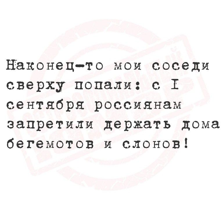 Наконец-то мои соседи сверху попали: с 1 сентября россиянам запретили держать дома бегемотов и слонов!