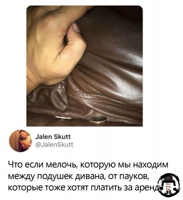 Что если мелочь, которую мы находим между подушек дивана, от пауков, которые тоже хотят платить за аренду.