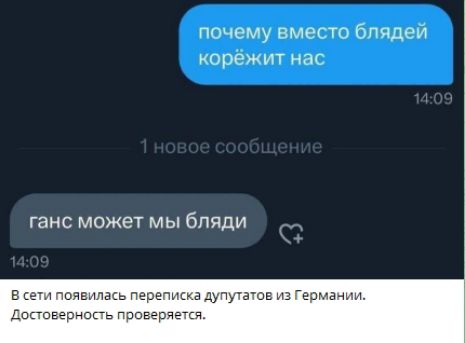 почему вместо блядей корёжит нас
ганс может мы бляди

В сети появилась переписка депутатов из Германии. Достоверность проверяется.