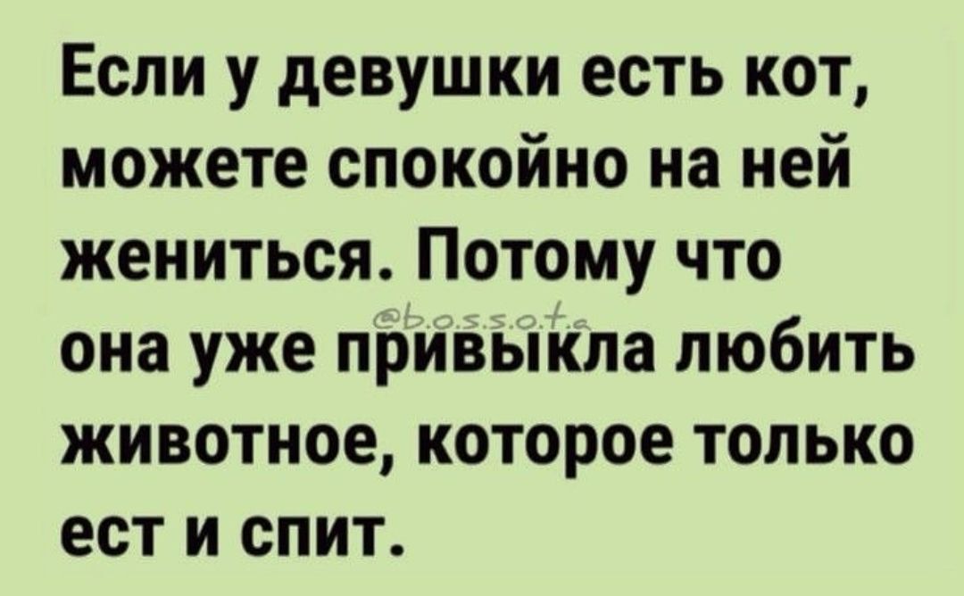 Если у девушки есть кот, можете спокойно на ней жениться. Потому что она уже привыкла любить животное, которое только ест и спит.