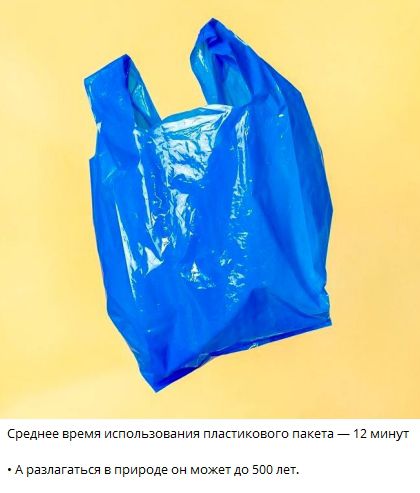 Среднее время использования пластикового пакета — 12 минут
• А разлагаться в природе он может до 500 лет.