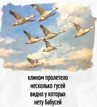 клином пролетело
несколько гусей
видно у которых
нету бабусей