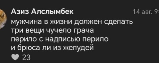 мужчина в жизни должен сделать три вещи чу́чело грача
перило с надписью перило
и брюса ли из желудей