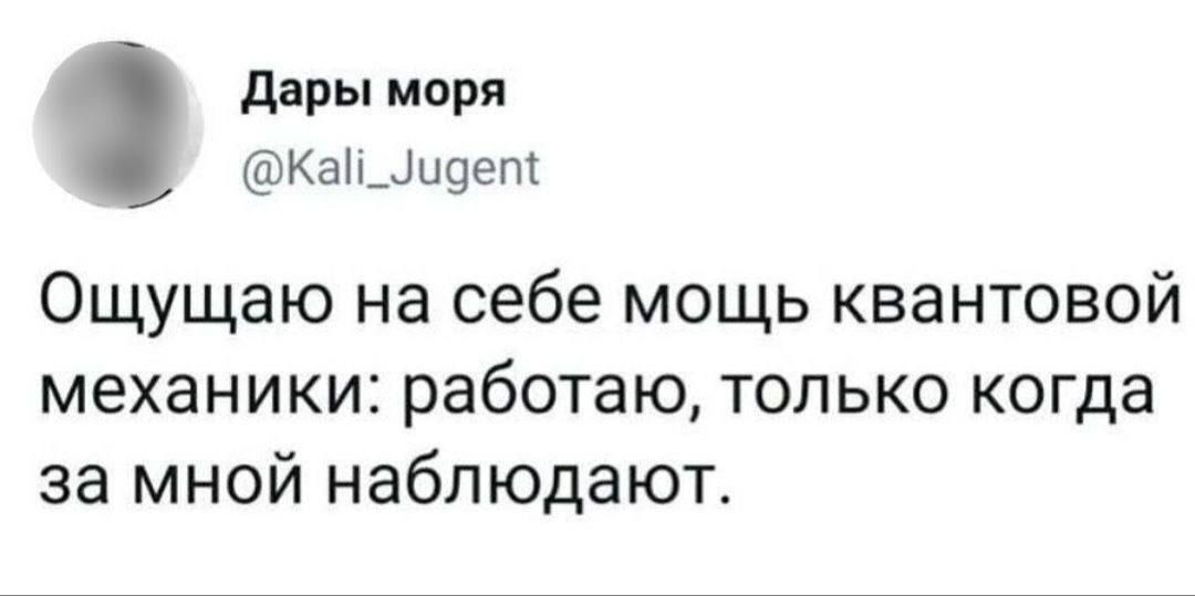 Ощущаю на себе мощь квантовой механики: работаю, только когда за мной наблюдают.