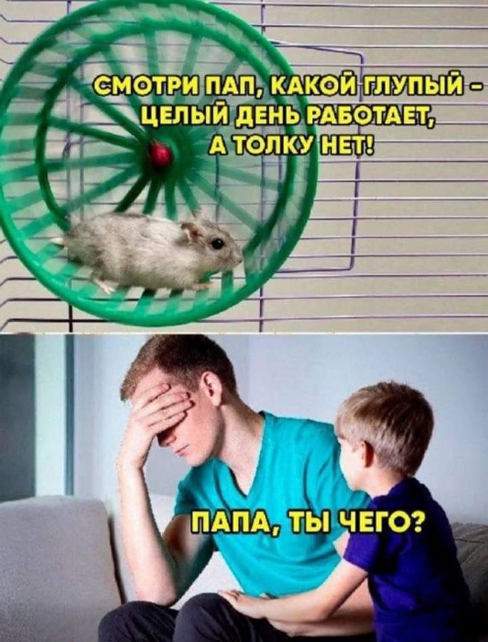 СМОТРИ ПАП, КАКОЙ ГЛУПЫЙ - ЦЕЛЫЙ ДЕНЬ РАБОТАЕТ, А ТОЛКУ НЕТ!
ПАПА, ТЫ ЧЕГО?