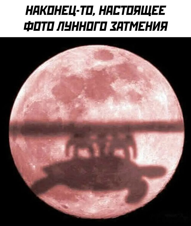 НАХОНЕЦ-ТО, НАСТОЯЩЕЕ ФОТО ЛУННОГО ЗАТМЕНИЯ