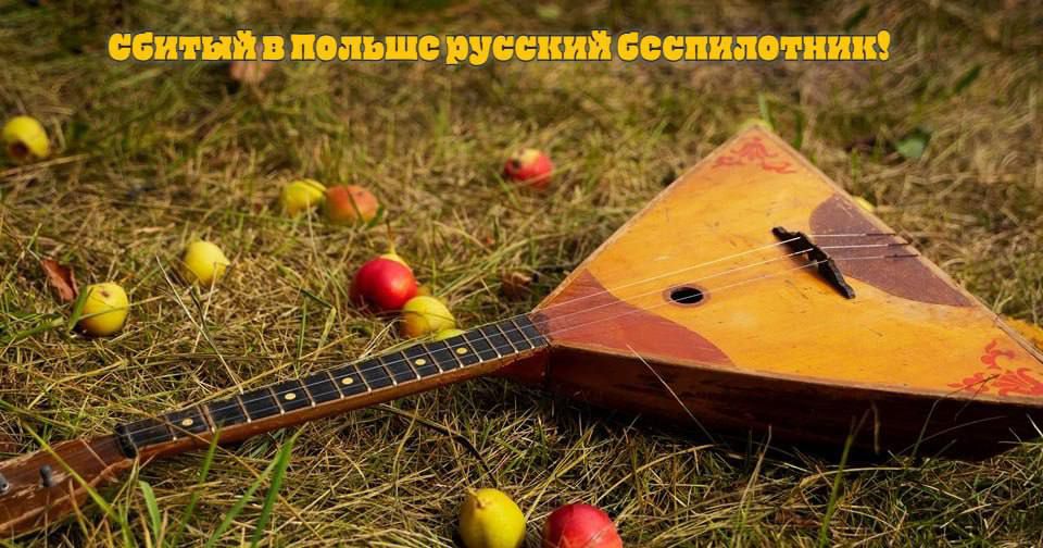 Сбити в полыш русский гегемотник!