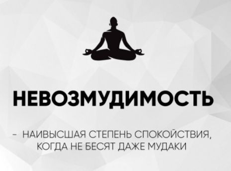 НЕВОЗМУДИМОСТЬ
- НАИВЫСШАЯ СТЕПЕНЬ СПОКОЙСТВИЯ, КОГДА НЕ БЕСЯТ ДАЖЕ МУДАКИ