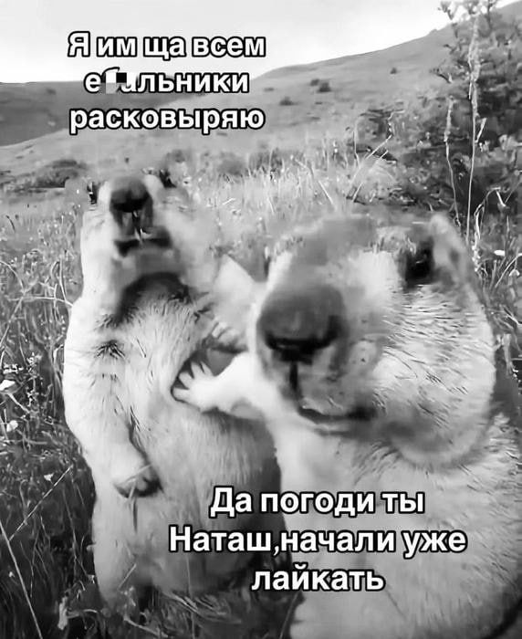 Я им ща всем е*льники расковыряю
Да погоди ты Натащ, начали уже лайкать