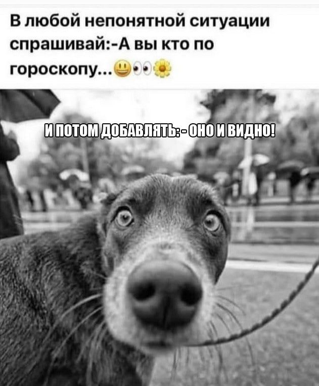 В любой непонятной ситуации спрашивай:-А вы кто по гороскопу...
И ПОТОМ ДОБАВЛЯТЬ:- ОНО И ВИДНО!