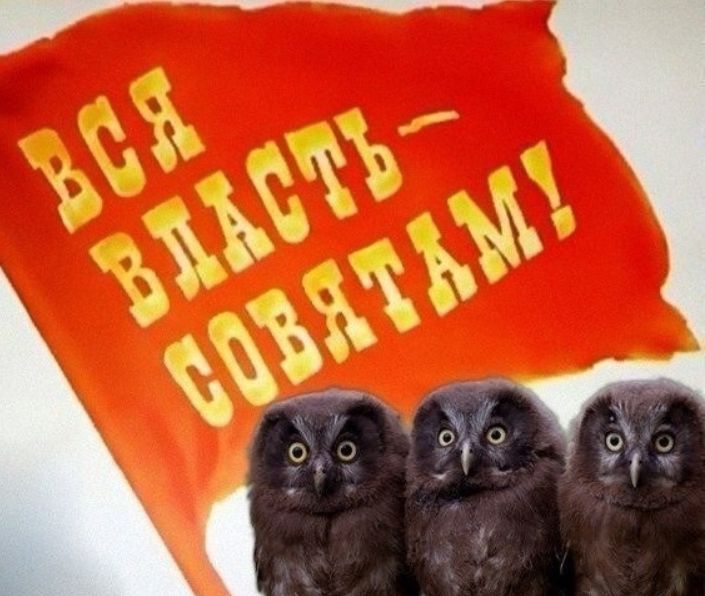 ВСЯ ВЛАСТЬ – СОВЕТАМ!