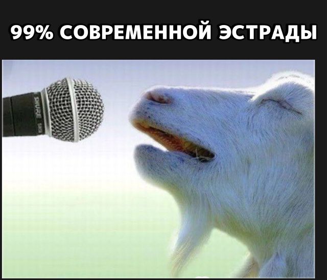 99% СОВРЕМЕННОЙ ЭСТРАДЫ