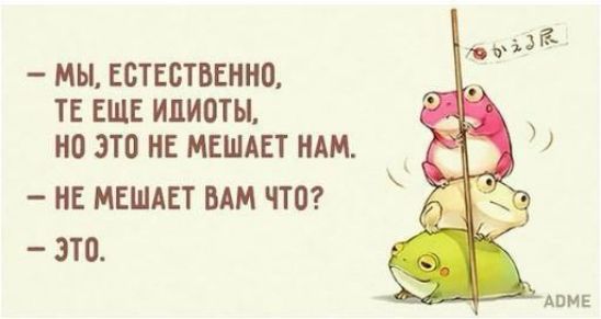 – МЫ, ЕСТЕСТВЕННО, ТЕ ЕЩЁ ИДИОТЫ, НО ЭТО НЕ МЕШАЕТ НАМ.
– НЕ МЕШАЕТ ВАМ ЧТО?
– ЭТО.
