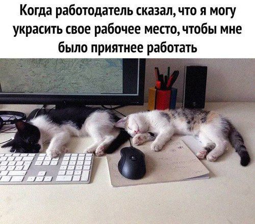 Когда работодатель сказал, что я могу украсить свое рабочее место, чтобы мне было приятнее работать