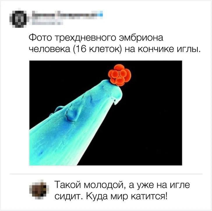 Фото трехдневного эмбриона человека (16 клеток) на кончике иглы.
Такой молодотой, а уже на игле сидит. Куда мир катится!