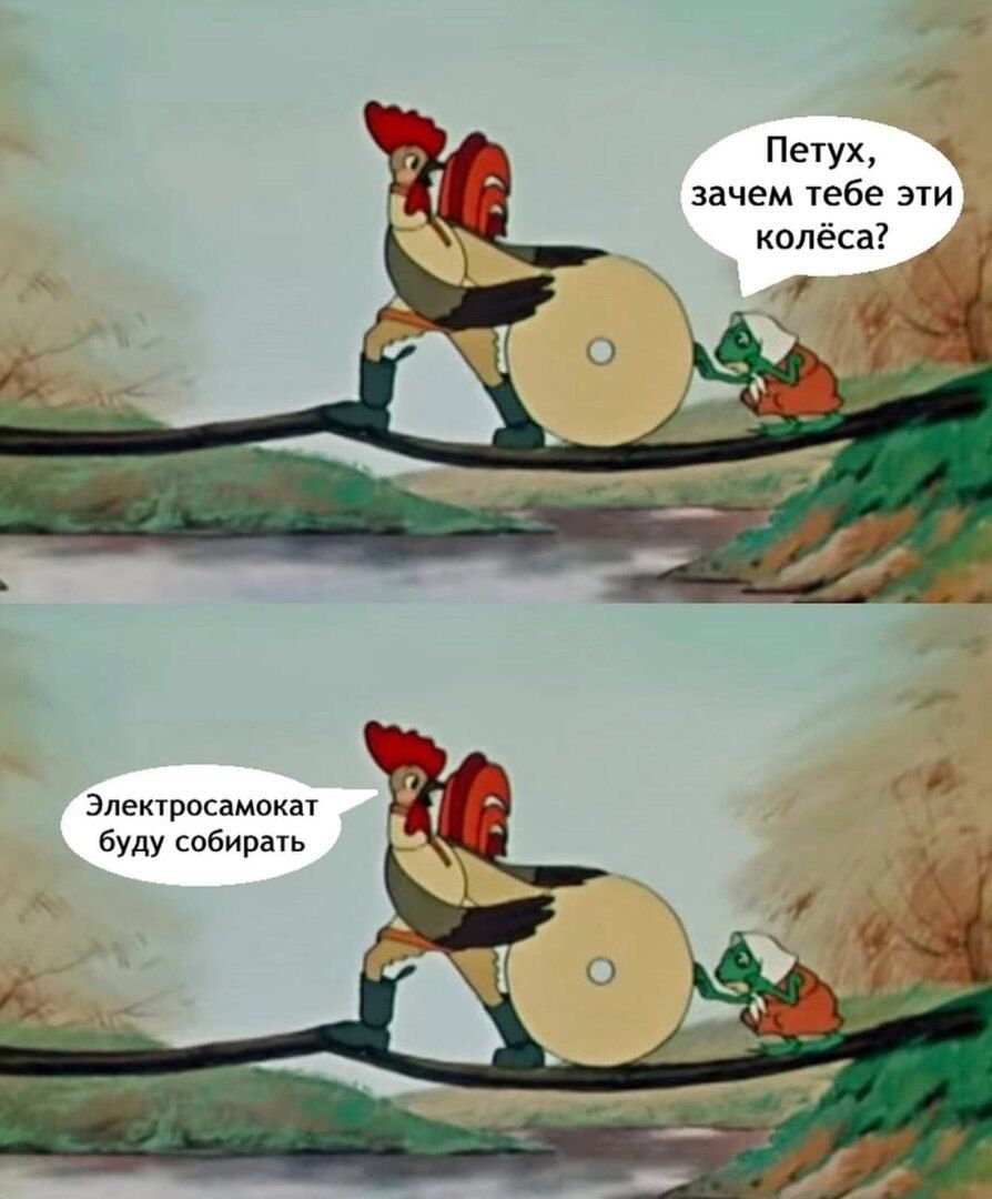 Петух, зачем тебе эти колёса? Электросамокат буду собирать.