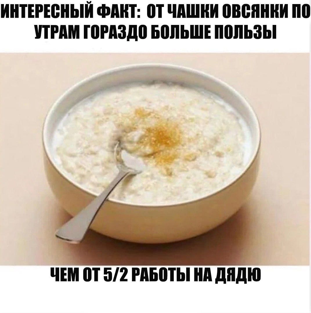 ИНТЕРЕСНЫЙ ФАКТ: ОТ ЧАШКИ ОВСЯНКИ ПО УТРАМ ГОРАЗДО БОЛЬШЕ ПОЛЬЗЫ ЧЕМ ОТ 5/2 РАБОТЫ НА ДЯДЮ