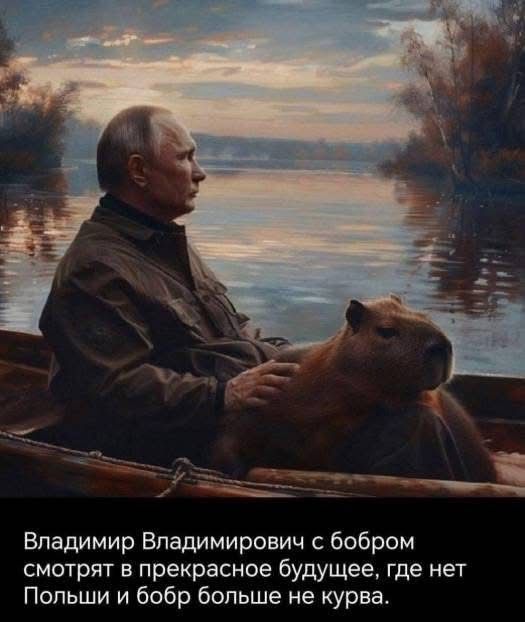 Владимир Владимирович с бобром смотрят в прекрасное будущее, где нет Польши и бобёр больше не курва.