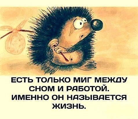 Есть только миг между сном и работой. Именно он называется жизнь.