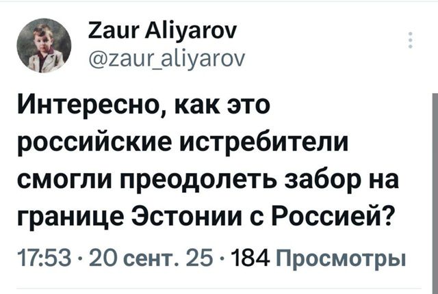 Интересно, как это российские истребители смогли преодолеть забор на границе Эстонии с Россией?