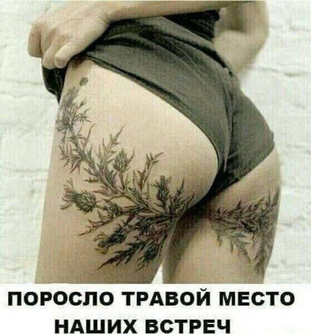 ПОРОСЛО ТРАВОЙ МЕСТО НАШИХ ВСТРЕЧ