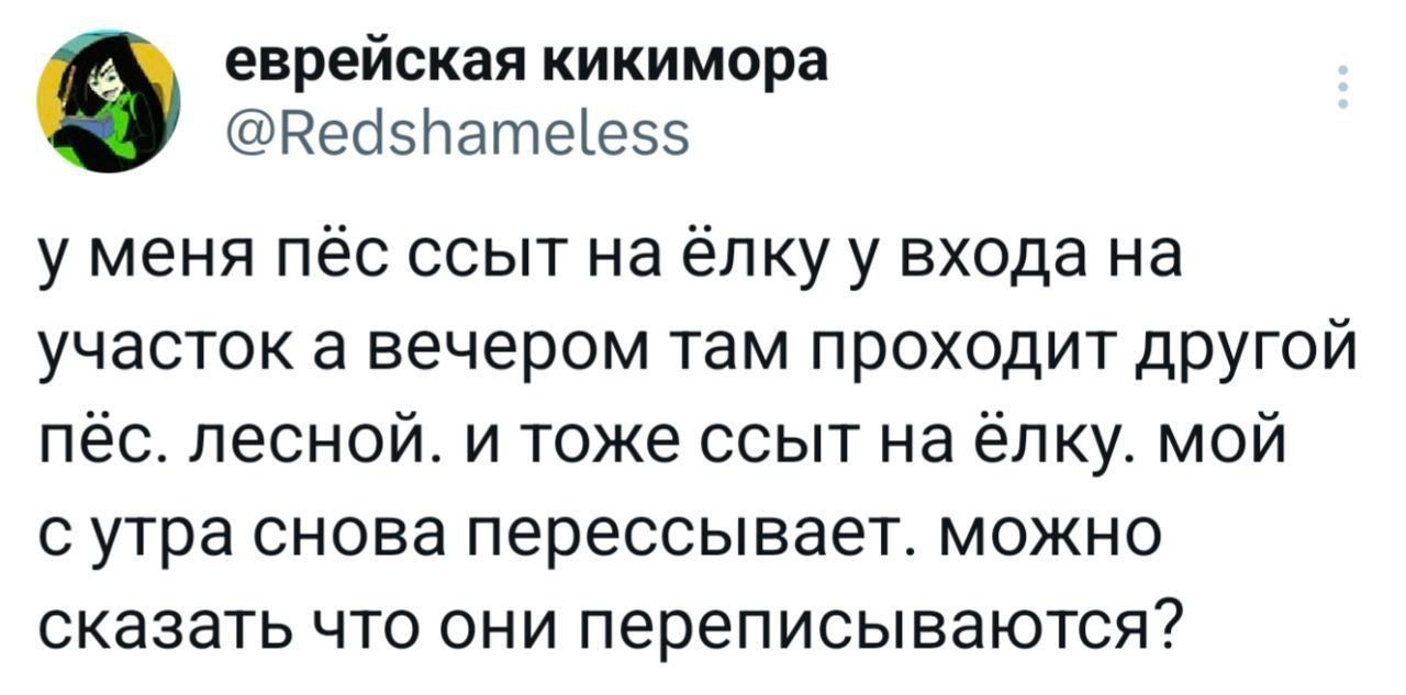 у меня пёс ссыт на ёлку у входа на участок а вечером там проходит другой пёс лесной. и тоже ссыт на ёлку. мой с утра снова перессывает. можно сказать что они переписываются?