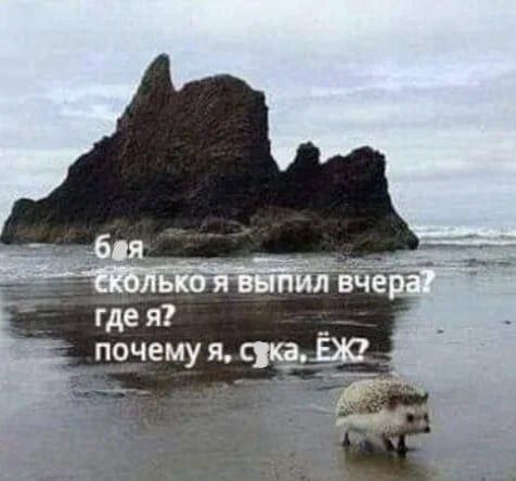б я
сколько я выпил вчера?
где я?
почему я, с#ка. ЁЖ?