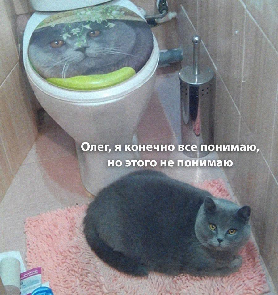 Олег, я конечно все понимаю, но этого не понимаю