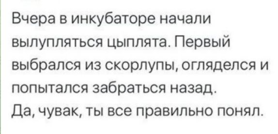 Вчера в инкубаторе начали вылупляться цыплята. Первый выбрался из скорлупы, огляделся и попытался забраться назад.
Да, чувак, ты все правильно понял.