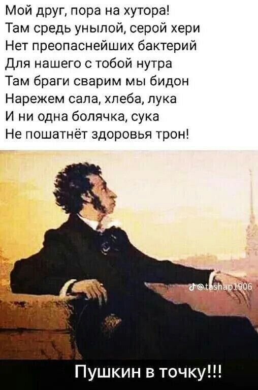 Мой друг, пора на хутора!
Там среди унылой, серой хери
Нет препоснейших бактерий
Для нашего с тобой нутра
Там браги сварим мы бидон
Нарежем сала, хлеба, лука
И ни одна болячка, сука
Не пошатнёт здоровья трон!

Пушкин в точку!!!