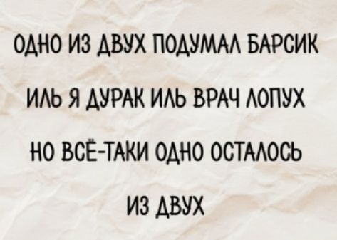 ОДНО ИЗ ДВУХ ПОДУМАЛ БАРСИК
ИЛЬ Я ДУРАК ИЛЬ ВРАЧ ЛОПУХ
НО ВСЁ-ТАКИ ОДНО ОСТАЛОСЬ
ИЗ ДВУХ