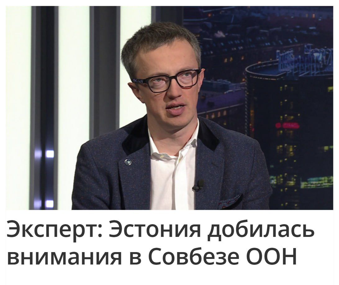Эксперт: Эстония добилась внимания в Совбезе ООН