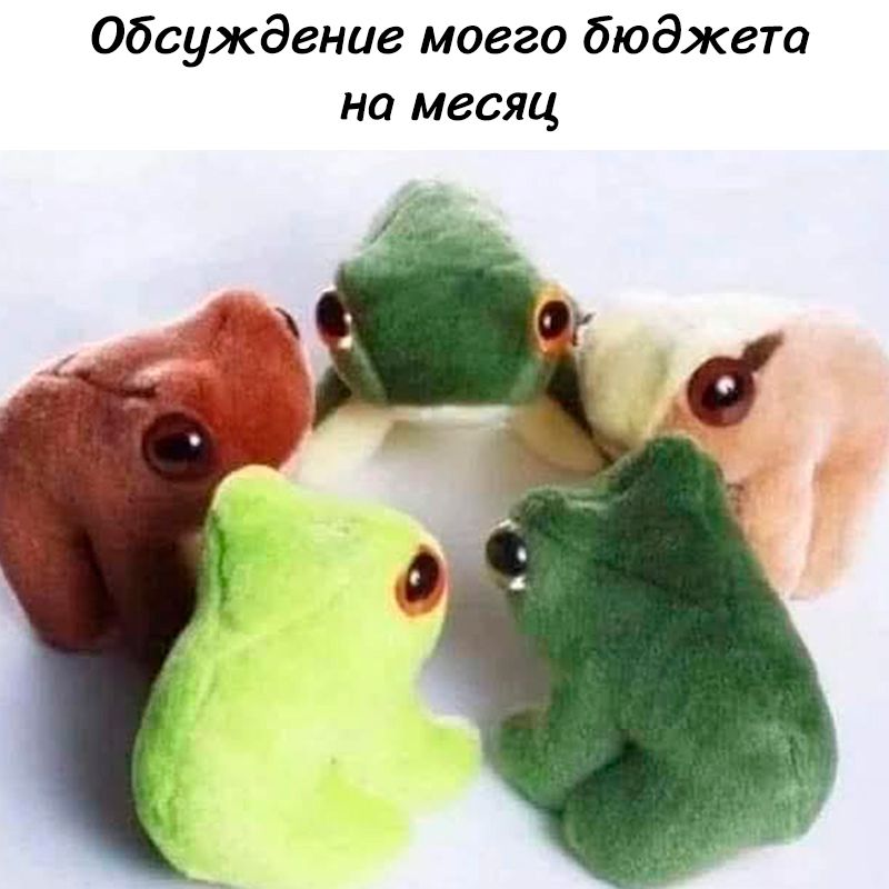 Обсуждение моего бюджета на месяц