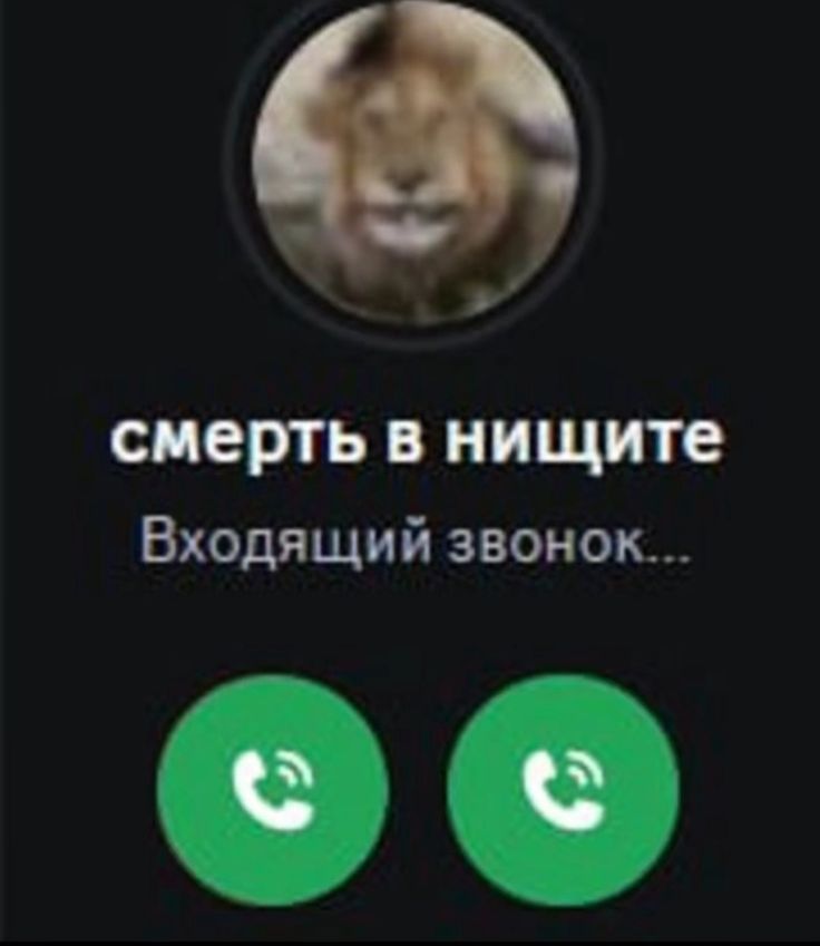 смерть в нищите
Входящий звонок...