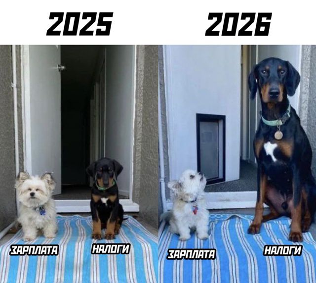 2025
ЗАРПЛАТА
НАЛОГИ
2026
ЗАРПЛАТА
НАЛОГИ