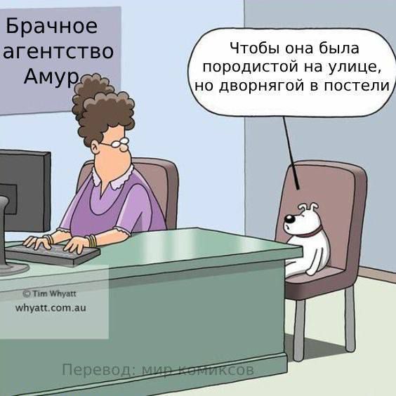 Брачное агентство Амур
Чтобы она была породистой на улице, но дворнягой в постели